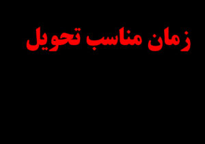 کیفیت بالای محصولات 3 300x211